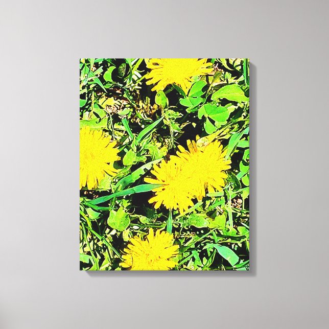 Toile Dandelions De Montagne Photo Ottawa Canada (Recto)
