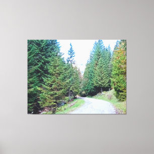 Toile Dans la forêt au cœur - Nature sauvage Roumanie