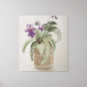 Toile d'aquarelle Purple Cape Primrose Imprimer