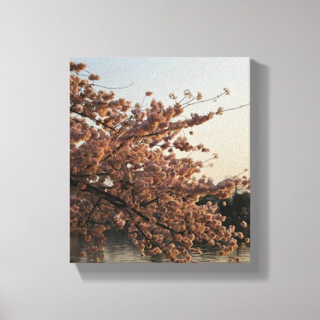 Toile d'arbre de fleurs de cerisier (Recto)
