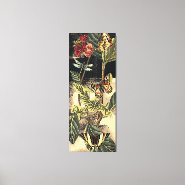 Toile Dark Nature Scene par Vision Studio (Recto)