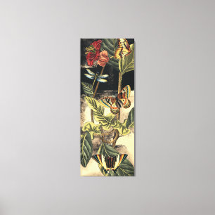 Toile Dark Nature Scene par Vision Studio