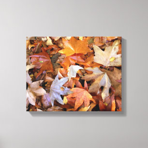 Toile d'art mural Feuilles d'automne