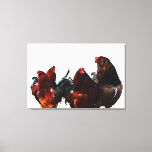 Toile d'art photographique de poulets de coq Gang
