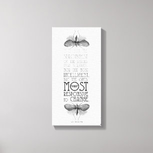 Toile Darwin Cote Survie Des Plus Adaptables