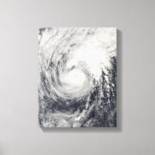Toile Dauphin d'ouragan en mer philippine