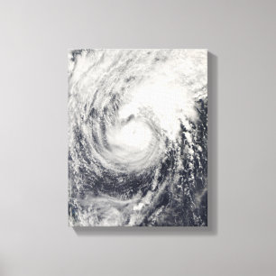 Toile Dauphin d'ouragan en mer philippine