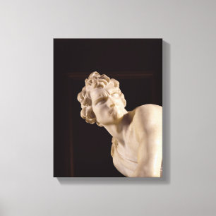 Toile David, 1623-24 (marbre) (détail)