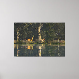 Toile de 60"x40" avec l'image "Surpris"