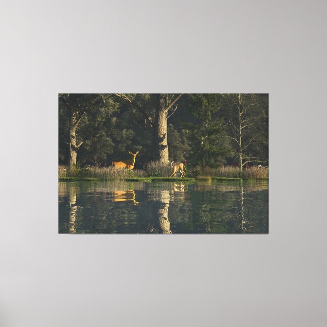 Toile de 60"x40" avec l'image "Surpris" (Recto)