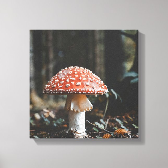 Toile de champignon de forêt Imprimer (Recto)
