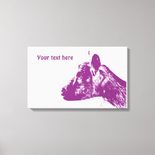 Toile de chèvre violette enveloppée