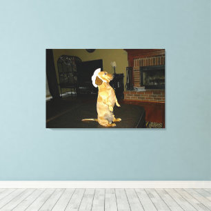 Toile de chien teckel assis joliment ou en train d