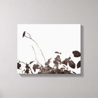 Toile de colibri perchée 14x11 enrobée