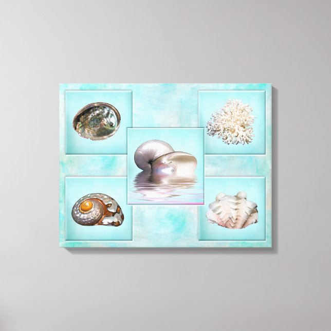 Toile de coquilles de mer Imprimer - 5 images diff (Recto)