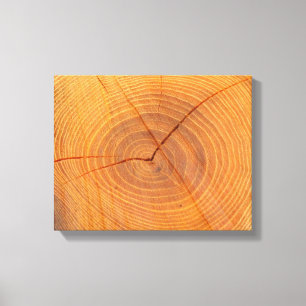 Toile de coupe de l'arbre Acacia Imprimer