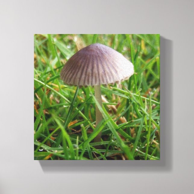 Toile de décoration murale de champignons (Recto)