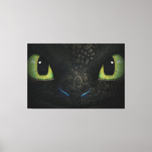 Toile de Dragon sans dents Premium Wrapped (Gloss)