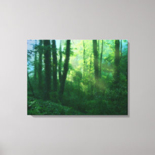 Toile de fertilité Imprimer