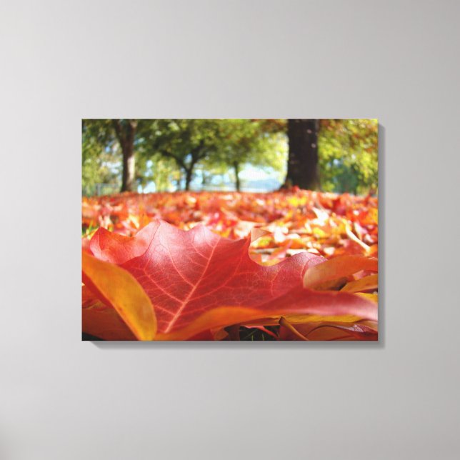 Toile de fond Nature Photographie Feuilles d'autom (Recto)
