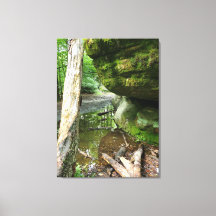 Toile de forêt tranquille | Paysage naturel réel