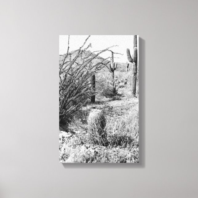 Toile de jardin Cowboy (désert de Sonoran) (Recto)