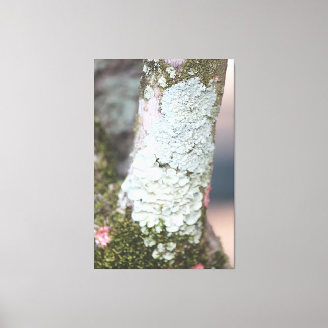 Toile de nature colorée (Recto)