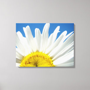 Toile de peinture fine Fleur de marguerite blanche