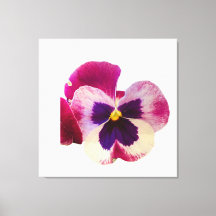 Toile de photo de fleur de pensée rose et violet v