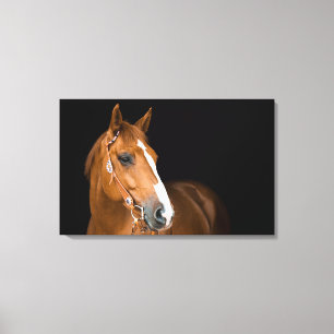 Toile de photo de magnifique Quarter Horse