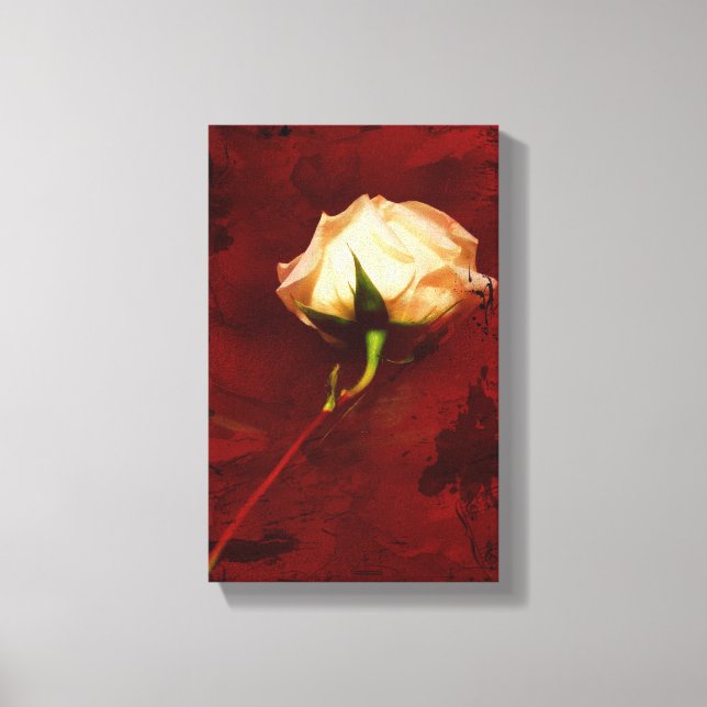 Toile de rose blanche artistique (Recto)