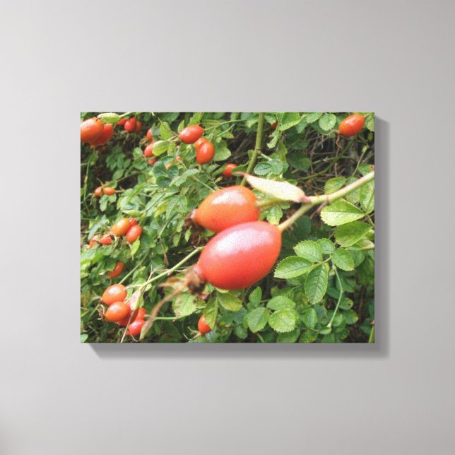 Toile de rose rouge juteuse en fruits Canvas Print (Recto)