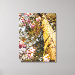 Toile de séquoias et de fleurs de cerisiers