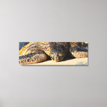Toile de tortue marine Maui
