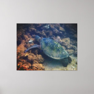 Toile de tortue verte