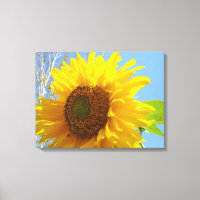 Toile de tournesol jaune Photographie Beaux-arts