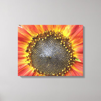Toile de tournesol rouge et jaune Imprimer