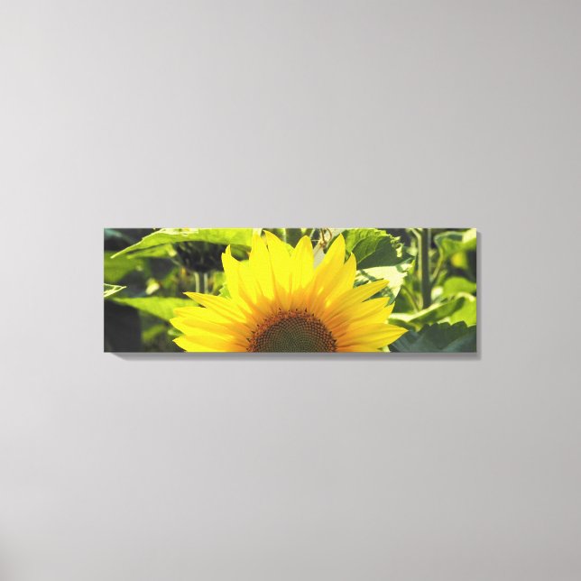 Toile de tournesol Sunrise Imprimer (36X12) (Recto)
