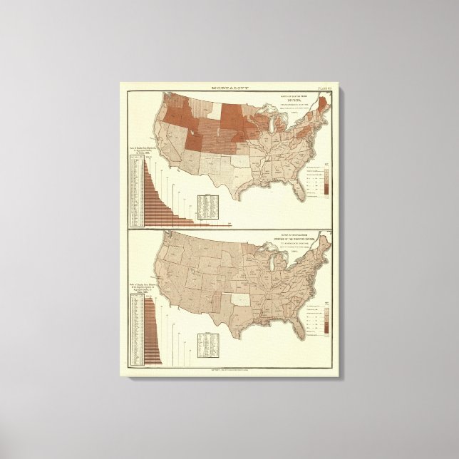 Toile Décès, diphtérie, système digestif (Recto)