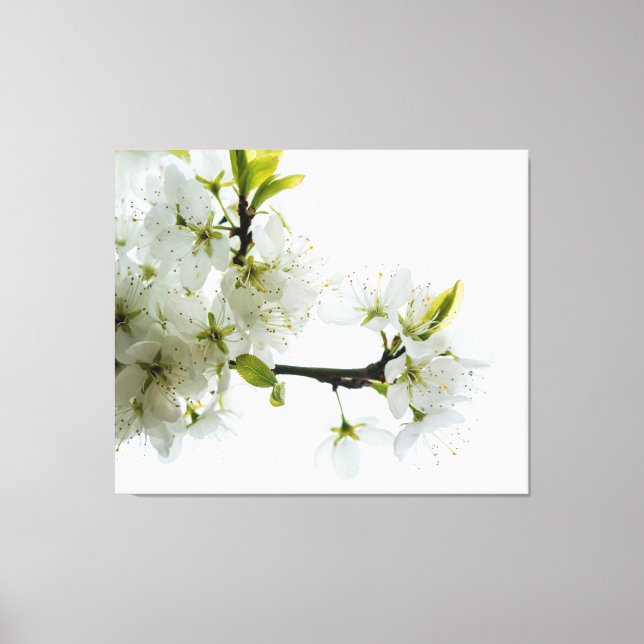 Toile Décor à fleurs 89 (Recto)