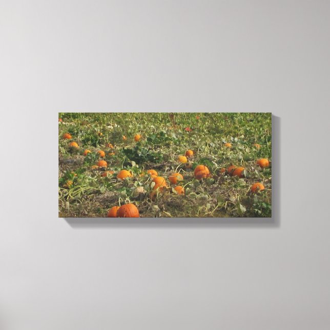 Toile Décoration murale de champ de citrouilles (Recto)