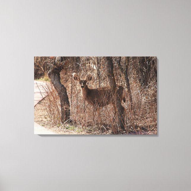 Toile Deer Stare (Recto)