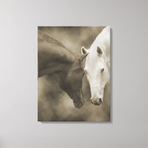 Toile d'enveloppe de salutations de cheval