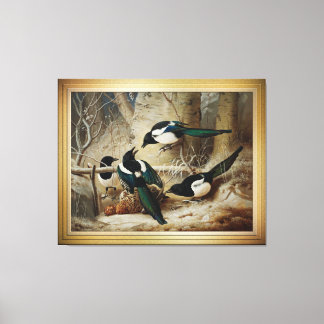 Toile Des Magpies Autour D'Une Femme Morte Capercaillie