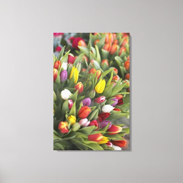Toile Des tas de tulipes colorées (Recto)