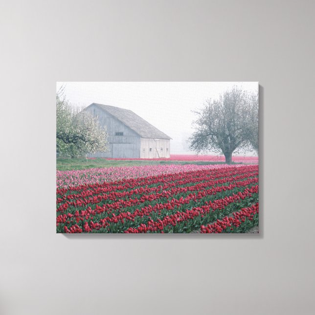 Toile Des tulipes rouges et roses saluent la journée par (Recto)