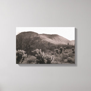 Toile Desert Cactus Jumping Cholla B&W Photo Art Imprime