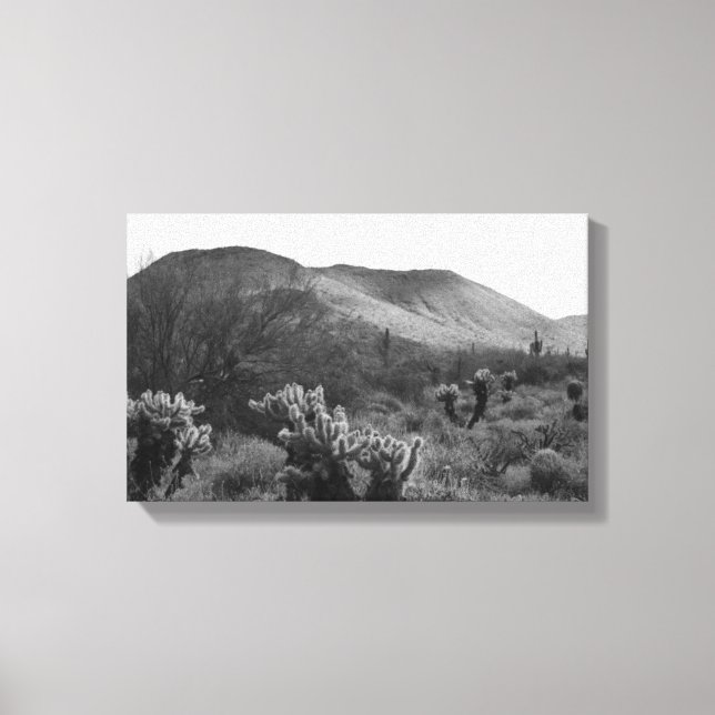Toile Desert Cactus Jumping Cholla B&W Photo Art Prints (Recto)