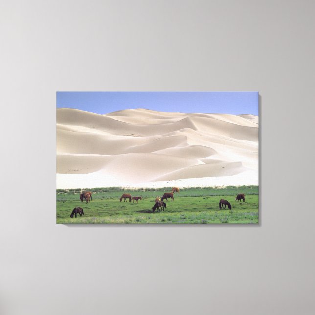 Toile Désert de Gobi | Chevaux sauvages (Recto)