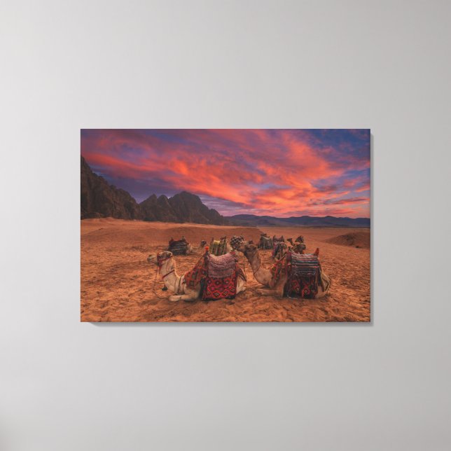 Toile Deserts | Camels Sinai Mountains Egypt (Recto)